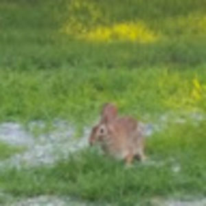 Meet your Posher, Vonda